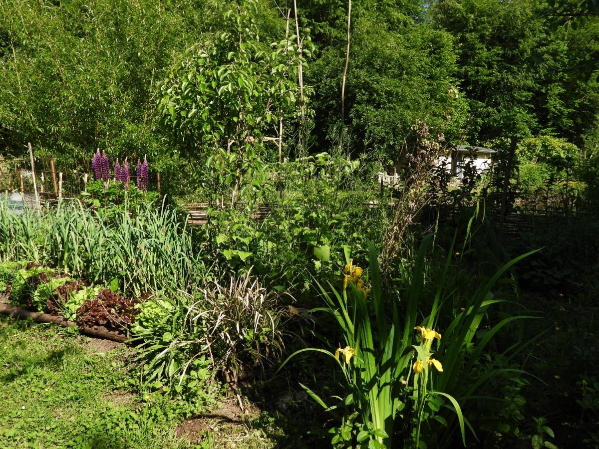 Le Jardin De Saint Jean Bed and Breakfast Exteriör bild